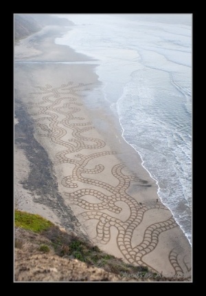Photo:  big sand art